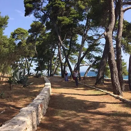Sosa Διαμέρισμα *